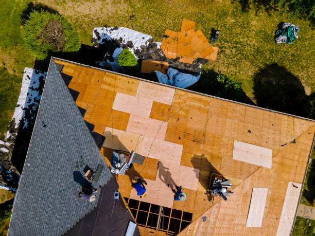 Best Roof Gutter Cleaning  in Stanton, TX
